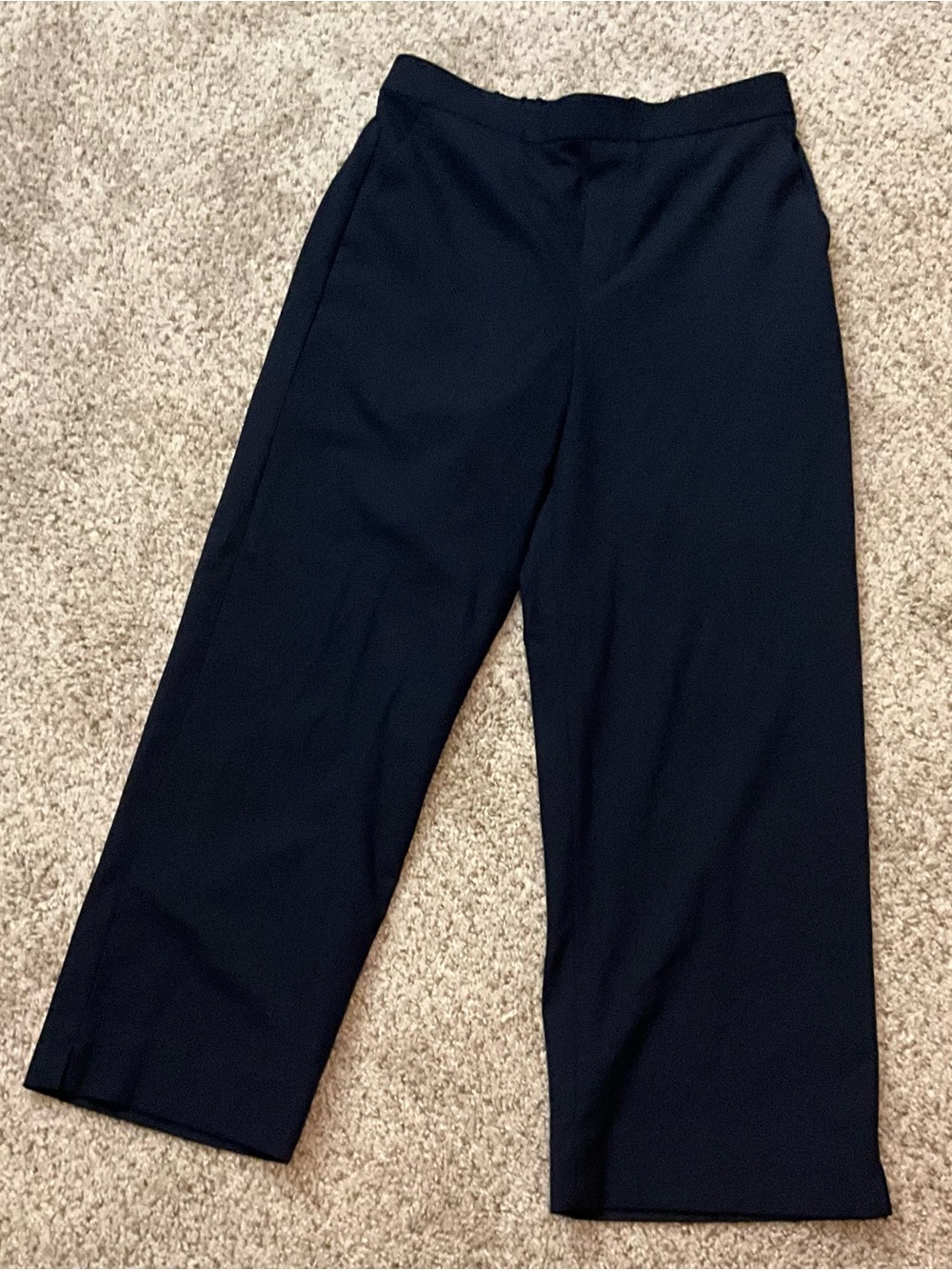 Banana Republic Hayden Straight Navy Straight-Leg Dress Pants